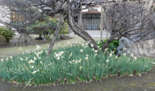 DSCN1840